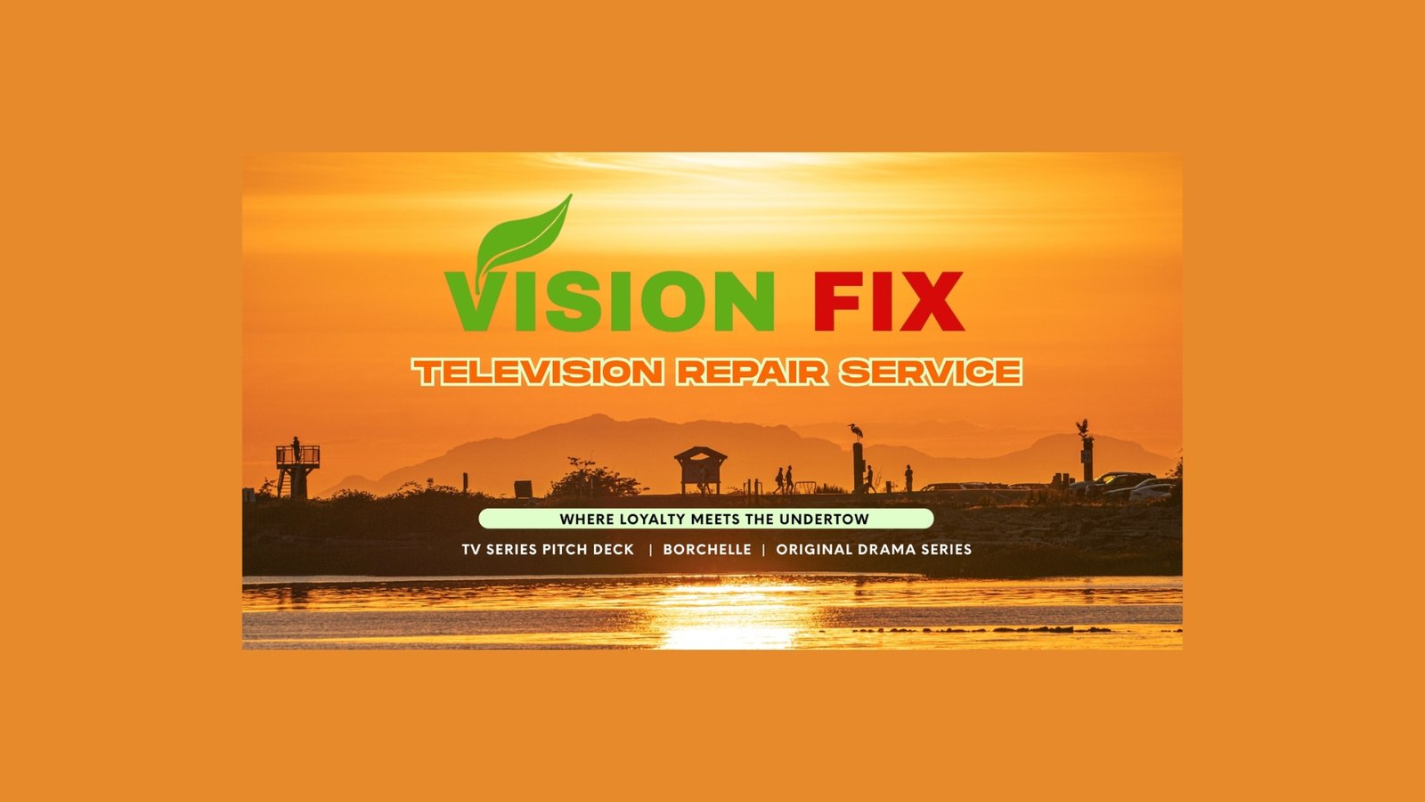Vision Fix technician servicing a television